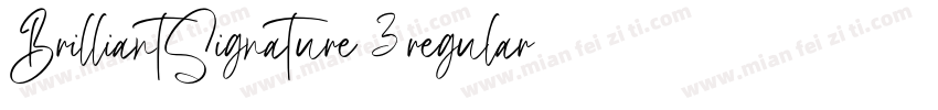 BrilliantSignature 3regular字体转换